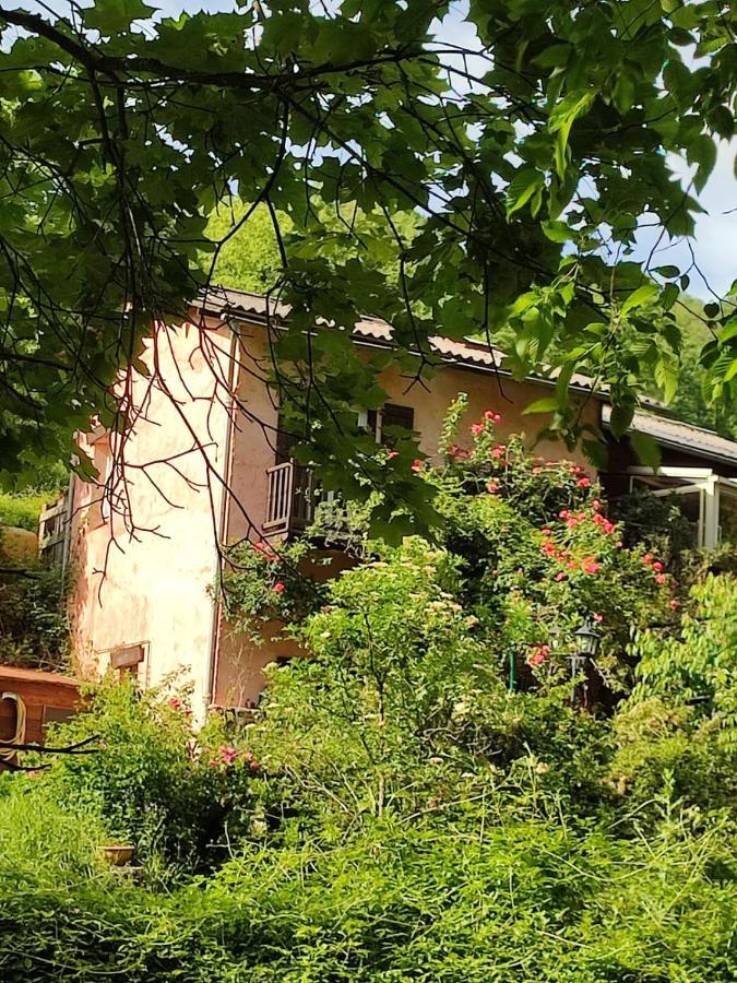 Moulin Vieux Bed & Breakfast La Bollene-Vesubie Exterior photo