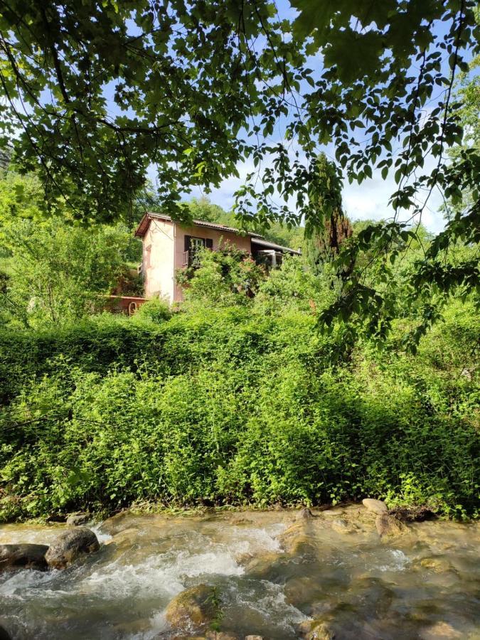 Moulin Vieux Bed & Breakfast La Bollene-Vesubie Exterior photo